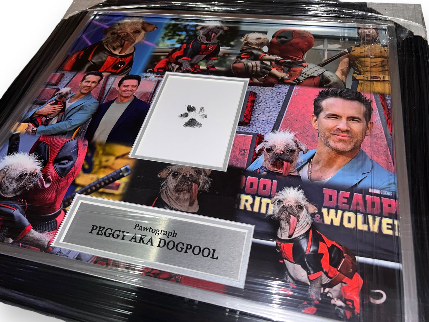 Peggy Aka Dogpool Signed (Pawtograph Paw Print) Deadpool photo montage- Deluxe framed